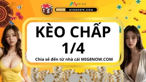 KÈO CHẤP 1/4 0.25- HƯỚNG DẪN CÁCH TÍNH TỪ NHÀ CÁI MIG8