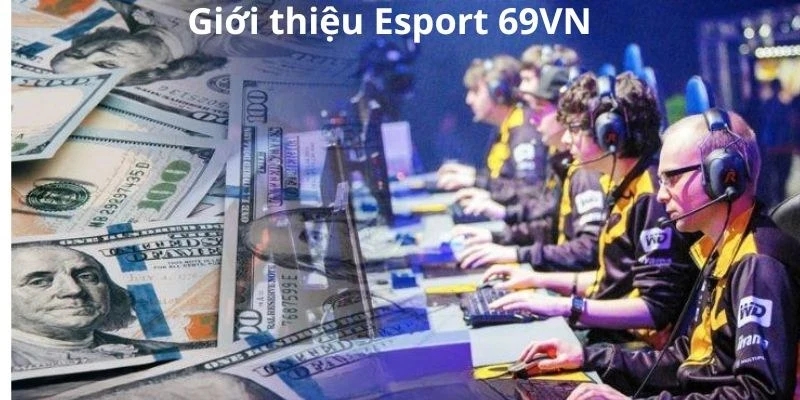 Giới thiệu Esport 69VN